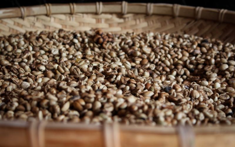 How to Choose Between Asian and African Coffee Beans? Flavor Differences, Star Ratings, and Pour Over Recommendations