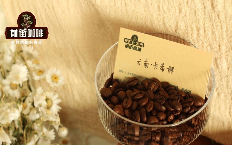 雲南小粒咖啡品種溯源與手衝風味解析：從卡蒂姆到鐵皮卡