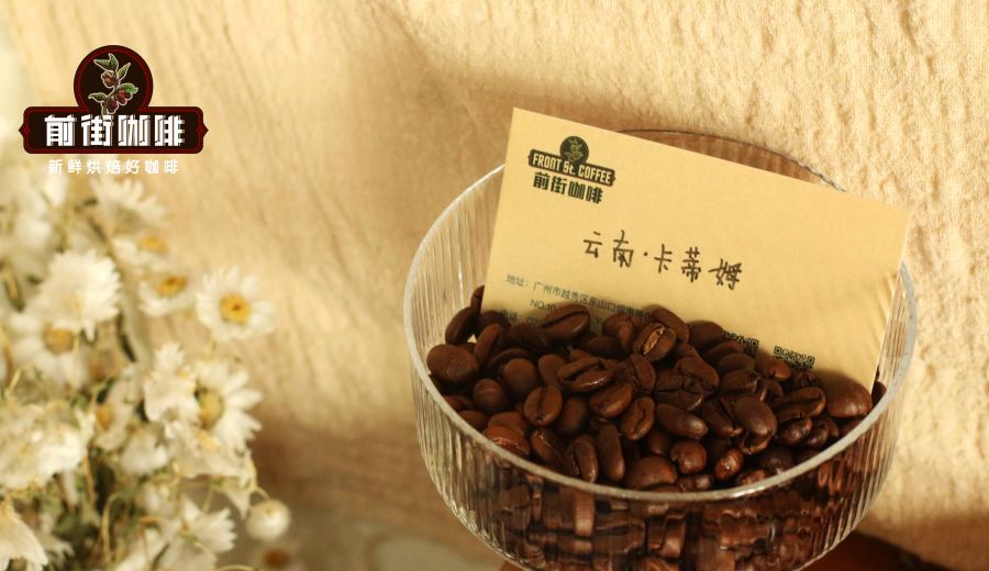 Evolution of Yunnan Small-Bean Coffee Varieties and Pour Over Techniques: A Comprehensive Guide from Catimor to Typica