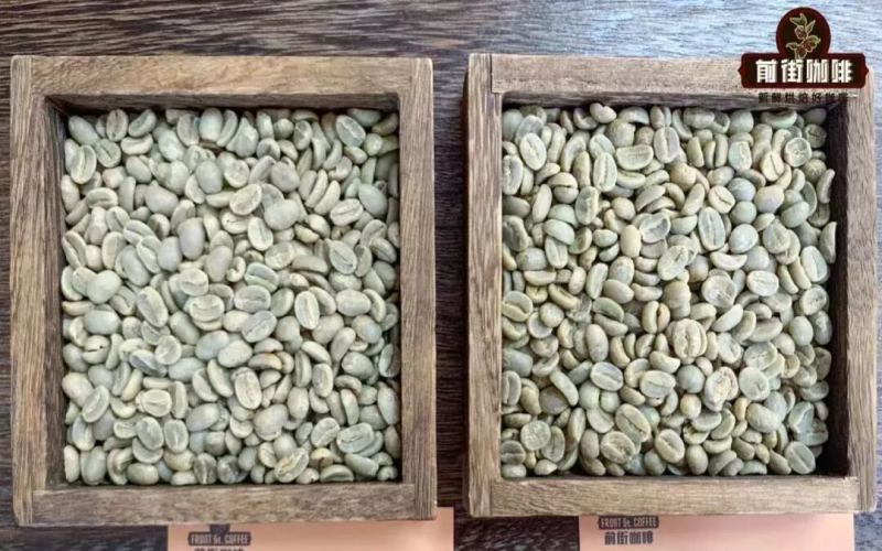 PNG coffee｜巴布亞新幾內咖啡爲何有小藍山之名？西格裏莊園天堂鳥水洗鐵皮卡風味特色是什麼？