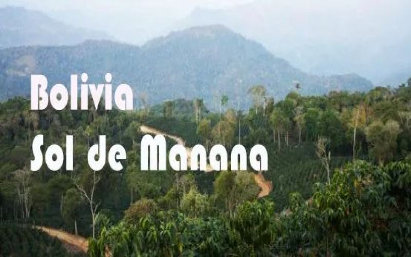 Analysis of Bolivian Caturra Washed Beans | Flavor Characteristics & Pour Over Recommendations from the Tomorrow’s Sun Project
