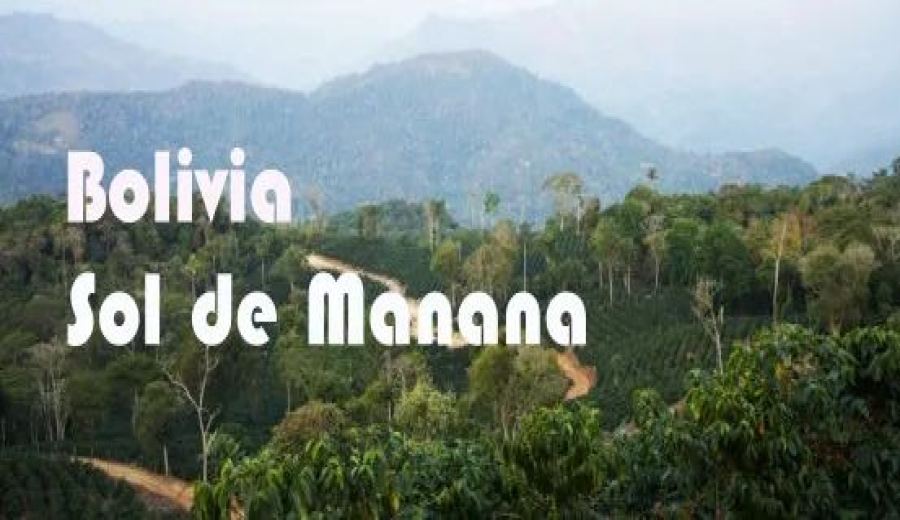 Analysis of Bolivian Caturra Washed Beans | Flavor Characteristics & Pour Over Recommendations from the Tomorrow’s Sun Project