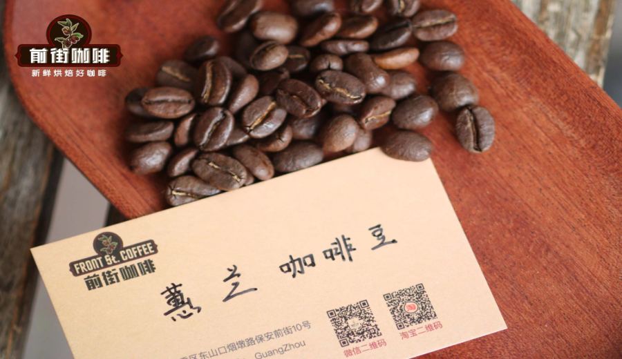 Top 10 Pour Over Specialty Coffee Beans: Flavor Profiles by Country & Brewing Guide