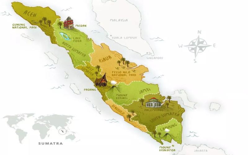 In-depth Guide to Indonesian Mandheling Coffee: Sumatra Region, Wet-Hulled Processing & Flavor Profile