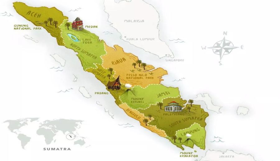 In-depth Guide to Indonesian Mandheling Coffee: Sumatra Region, Wet-Hulled Processing & Flavor Profile