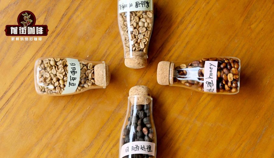 Sun-Dried vs. Washed Coffee Beans: Flavor Analysis | Pour Over Extraction Parameters & Roasting Recommendations
