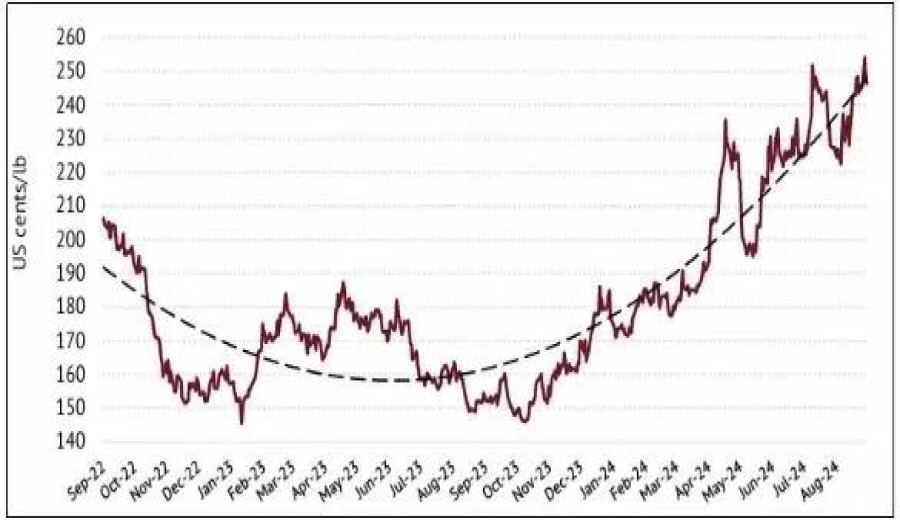 Behind the Surge in Robusta Prices: Challenges and Risks in the Global Coffee Supply Chain in 2024