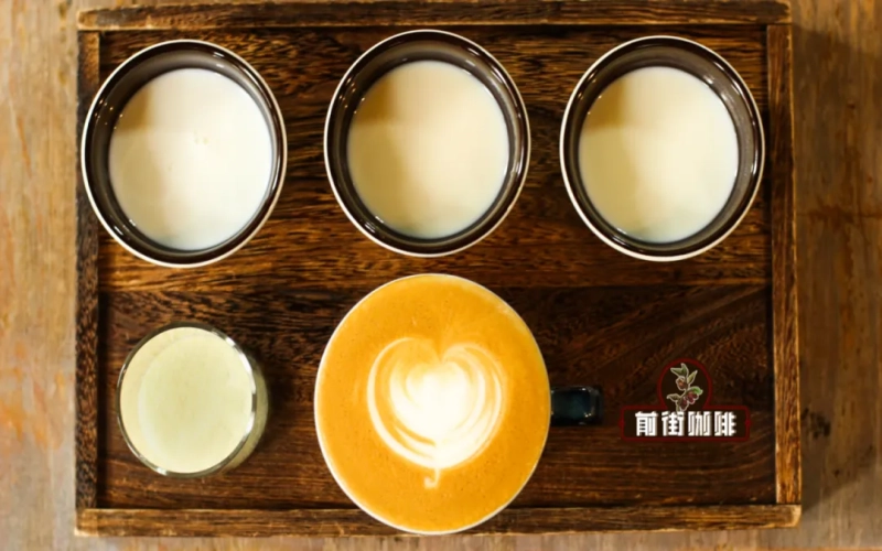 Complete Guide to Coffee-Milk Blends: Techniques for Mixing Concentrated Milk and Plant-Based Milks & DIY Instructions