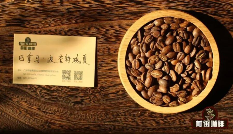 Why Are Panamanian Geisha Coffee Beans Unique? Global Production Regions and Flavor Analysis