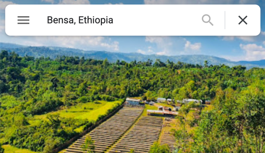 Starting with Ethiopian Bensa Coffee: The Origins of the Herbal Coffee Trend and Drinking Precautions
