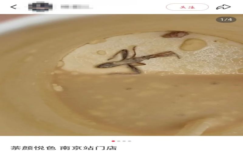 A bug found at the bottom of a Youlan Latte from Cha Yan Yue Se (Chayansyse)! Brand’s response and common anti-insect measures