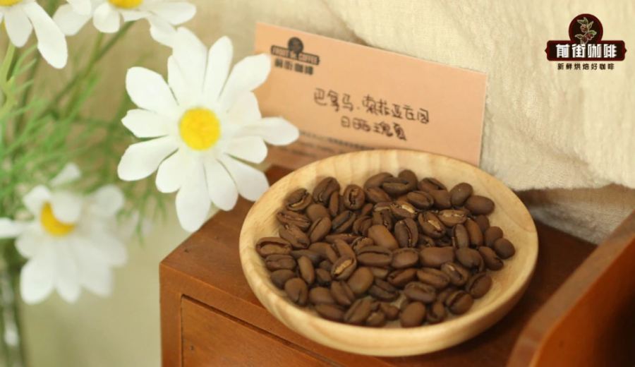 Geisha Coffee Flavor Profile | How to Choose Between Light, Medium, and Dark Roasts? Optimal Brewing Parameters and Regional Flavor Characteristics