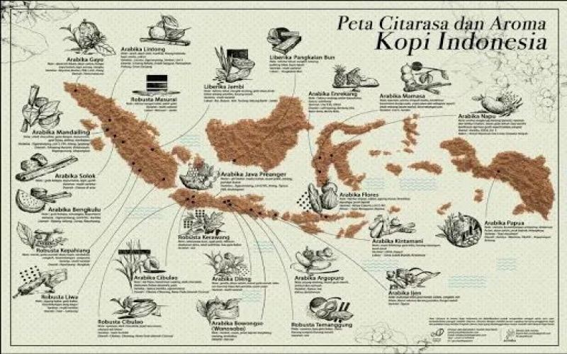 Complete Guide to Indonesian Coffee Varieties: Characteristics and Growing Regions of Typica, Robusta, and Catimor