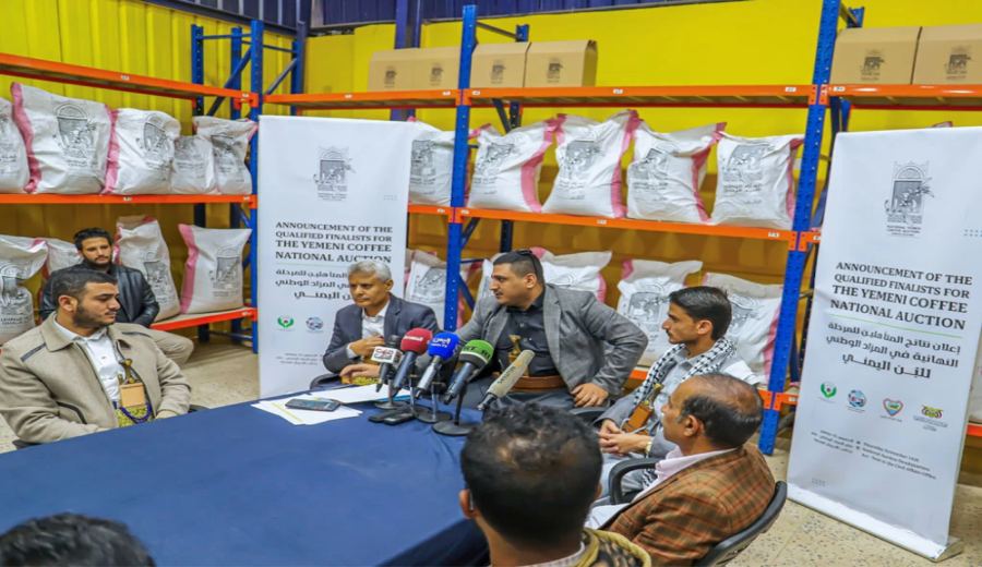 Preview of the 2024 Yemen Auction Featuring 17 Top-Quality Coffees: First Look at Cupping Scores of 91