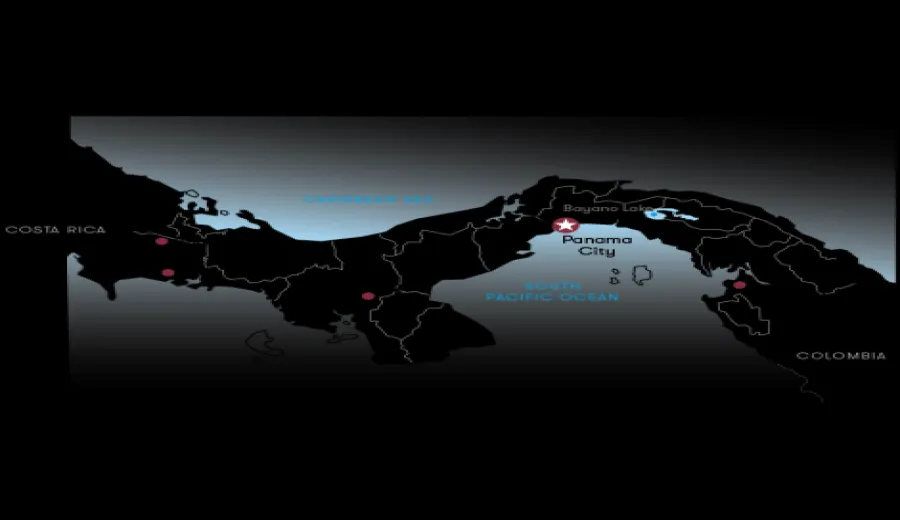 In-depth Analysis of Panama's Geisha Region: Flavors and Brewing Guide for Red Label Geisha and Three Premier Estates