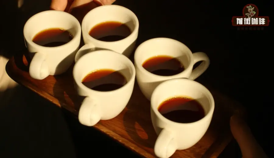 Single-Origin Coffee Acidity Explained | A Beginner's Guide to Fruit Acids and Pour Over Flavor
