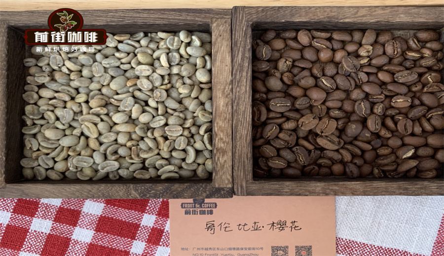 Colombian Smallholder Specialty Coffee: Exploring Unique Processing Methods and Pour Over Flavors