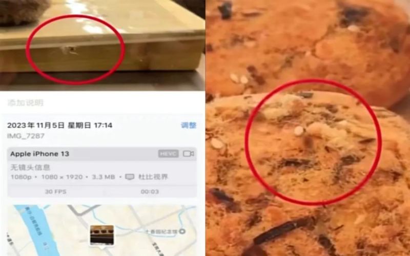 Pest Infestations Frequently Reported in Nayuki Store Bread Cabinets: Analysis of Hygiene Risks Hidden in Double-Door Designs