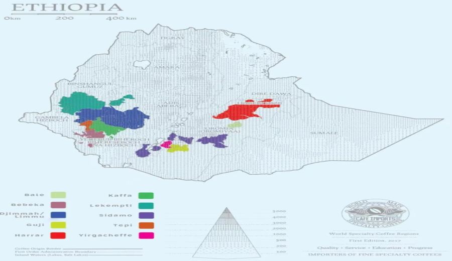 Ethiopia Sidamo Santa Vini: A Complete Guide to the 74158 Variety and Anaerobic Natural Process