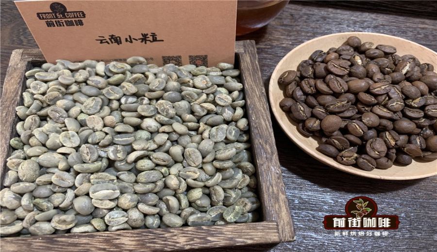 Complete Guide to Yunnan Small Bean Coffee Varieties: From Typica to Catimor, Explore Regions and Flavors All in One Go