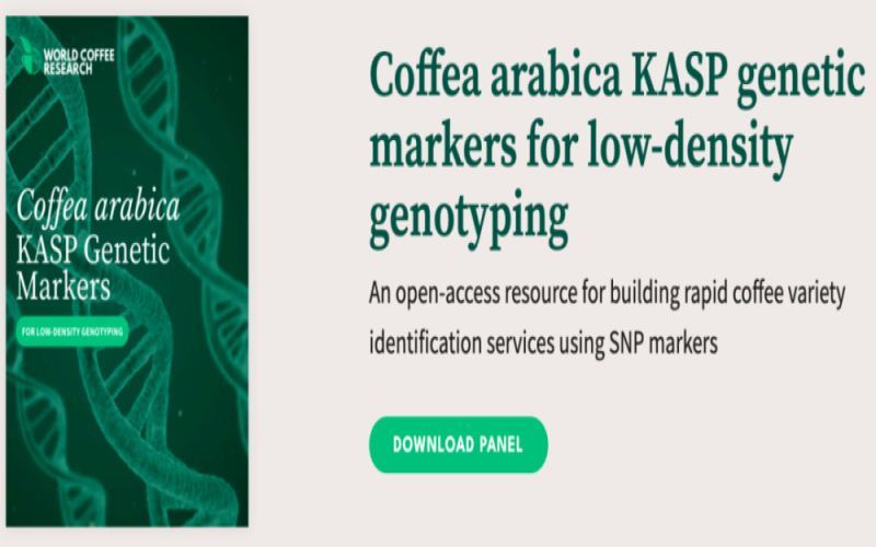 World Premiere！Free SNP Genetic Database to Identify 23 Arabica Coffee Varieties