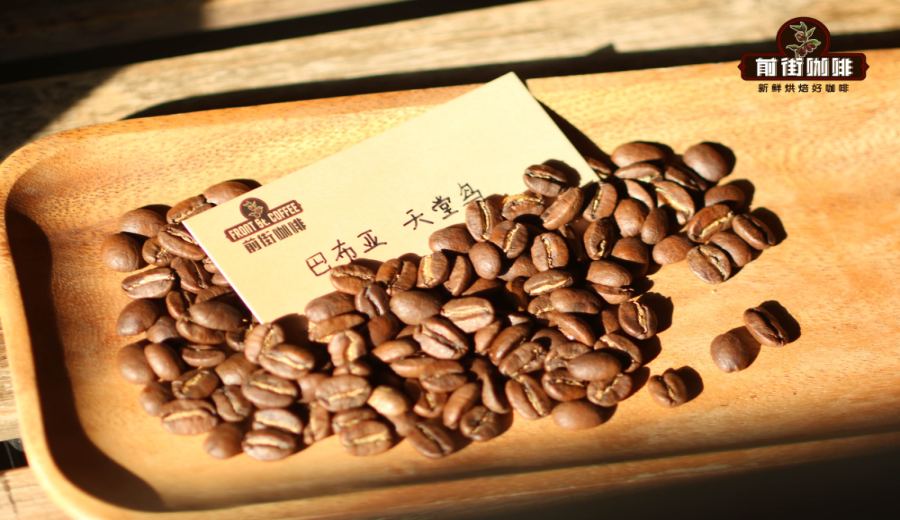 Flavor Analysis of Papua New Guinea Bird of Paradise Coffee Beans and Pour Over Parameter Recommendations
