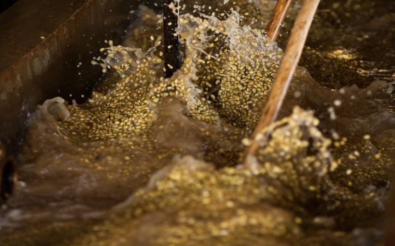 Complete Guide to Latin American Coffee Regions: From Brazil to Panama, Master Flavors and Pour Over Parameters