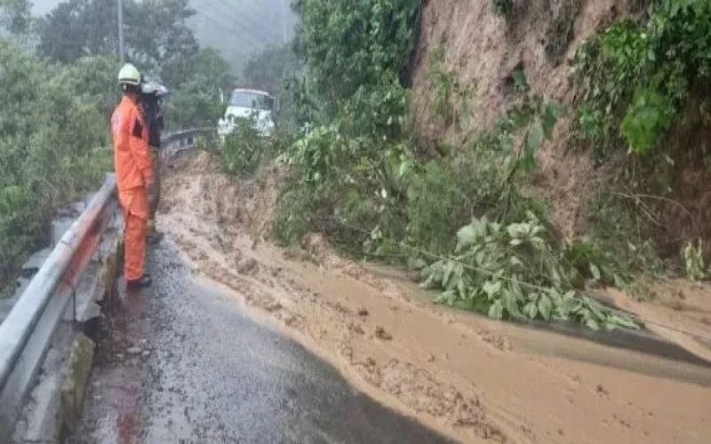 Heavy rains have devastated Panama's Boquete coffee region. What challenges does the harvest season face?