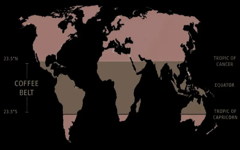 How to Choose Coffee Beans from Africa, Latin America, and Asia? Flavor Analysis of Three Major Regions and Recommended Bean Lists
