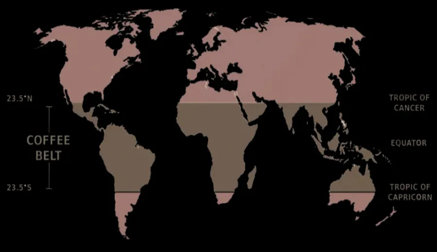 How to Choose Coffee Beans from Africa, Latin America, and Asia? Flavor Analysis of Three Major Regions and Recommended Bean Lists