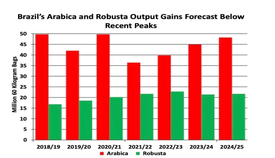 2024/25 Global Coffee Production Forecast: Brazil and Indonesia Stabilize, Vietnam Exports May Decline