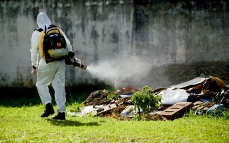 Dengue Fever Ravages Brazil’s Coffee Regions: A Comprehensive Analysis of Harvest Delays and Port Crises
