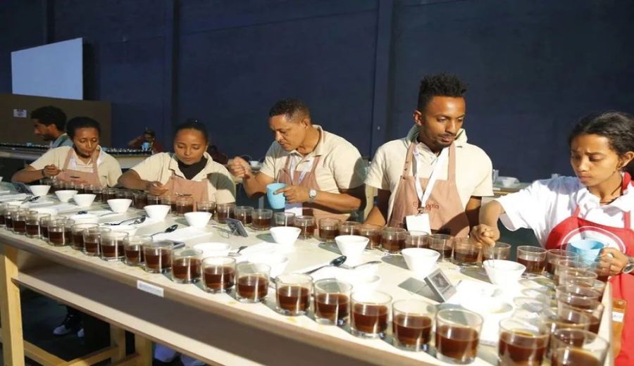 How to choose Yirgacheffe? A complete beginner's guide to identifying authenticity and flavor through roast level