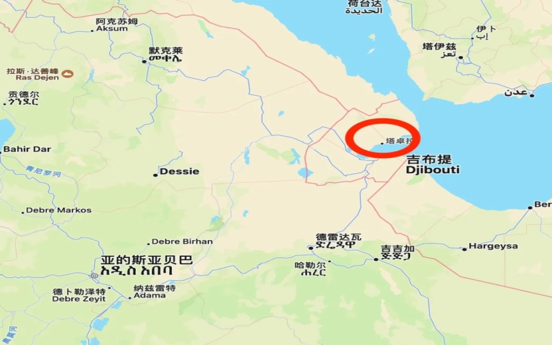 New Drivers of Ethiopian Coffee Exports: Can the Port of Tadjoura Break Through Geopolitical Constraints?