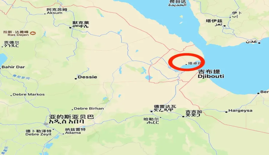 New Drivers of Ethiopian Coffee Exports: Can the Port of Tadjoura Break Through Geopolitical Constraints?