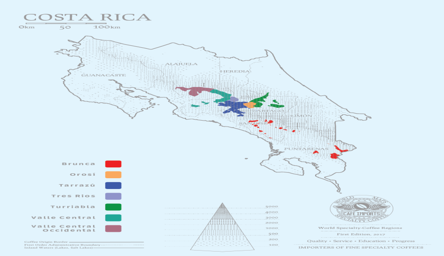 Costa Rica Mozart Coffee Beans: Exploring Anaerobic Honey Processing Flavors and the Characteristics of the Tarrazú Region