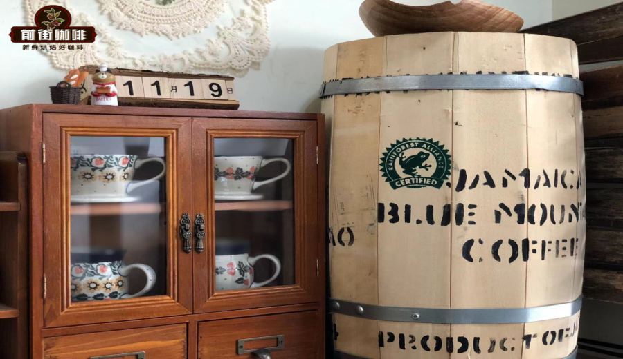 Unveiling the Flavors of Jamaican Blue Mountain No. 1 Coffee | A Complete Guide to Washed Processing and Pour Over Brewing