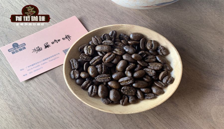 Flavor Analysis and Brewing Recommendations for Indonesian Civet Coffee: Acidity, Processing Methods, and Market Realities