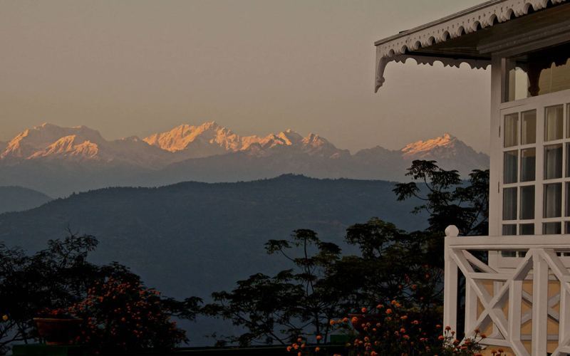 Darjeeling Glenburn Tea Estate Tasting Guide: Analysis of Highland Black Tea Flavors and Planting Mysteries