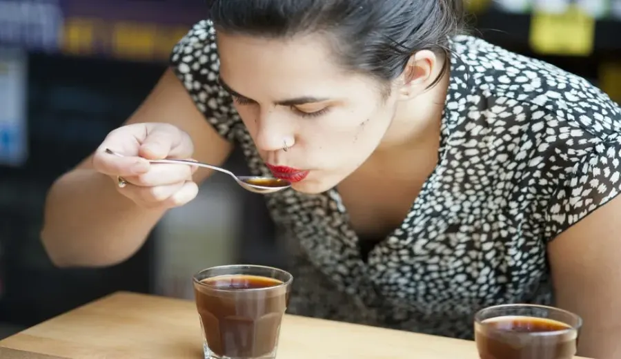 A Complete Guide to Coffee Sipping Techniques: Understanding Cupping Principles and Practical Differences in Everyday Drinking