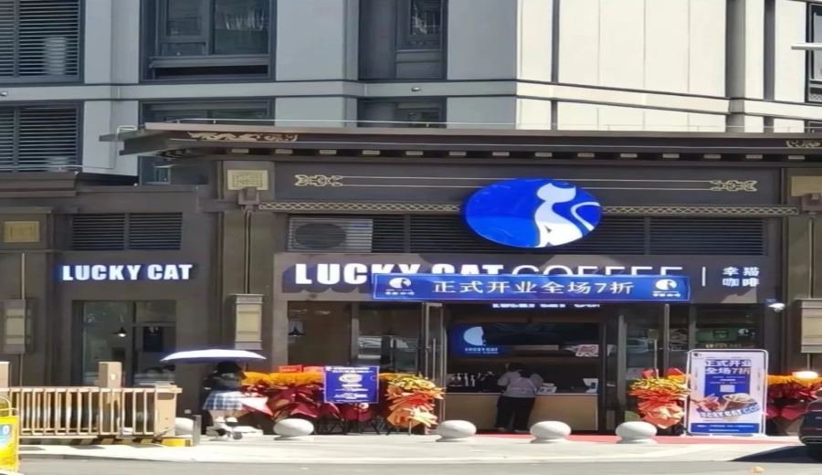 Counterfeit Luckin Coffee Emerges in Market: Xingmao Franchise Traps and Identification Tips