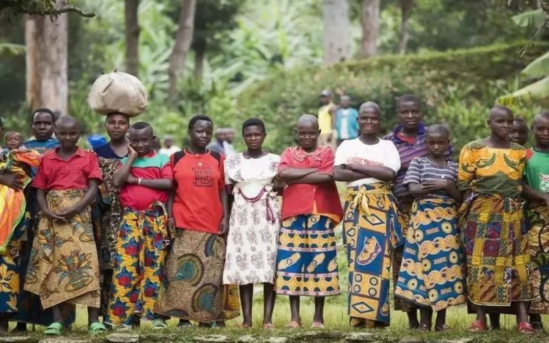 A Complete Guide to Burundi Coffee: Washed Processing, Regional Characteristics, and Flavor Profile