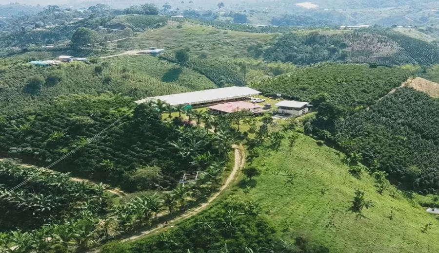 Front Street Coffee's Pour Over Guide for Colombian Huila Coffee Beans: Parameters, Flavor Profile & KONO Filter Application
