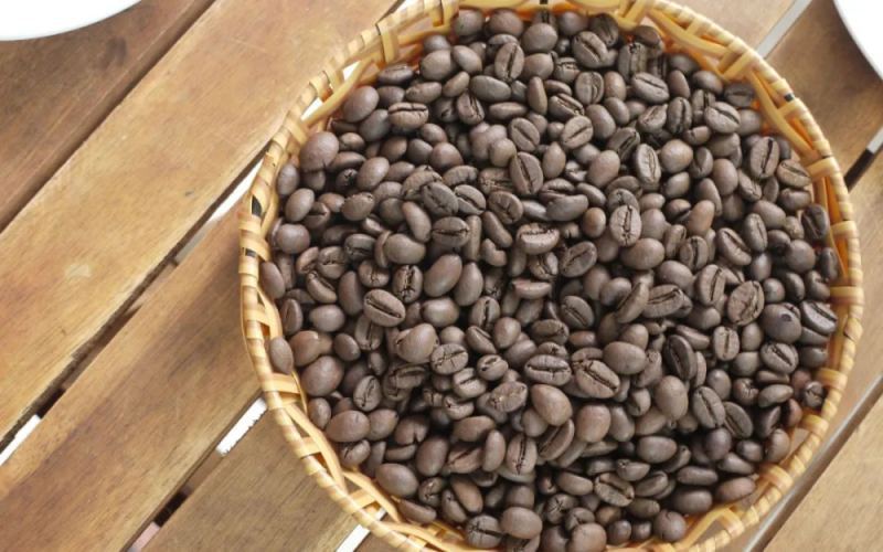 Vietnam High-Elevation Robusta: How Anaerobic Processing is Redefining Traditional Coffee Perceptions