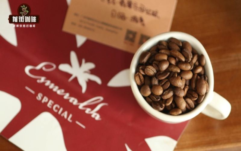 Flavor Analysis of Espresso from Arabica's Three Classic Varieties: Typica, SL28 & Geisha