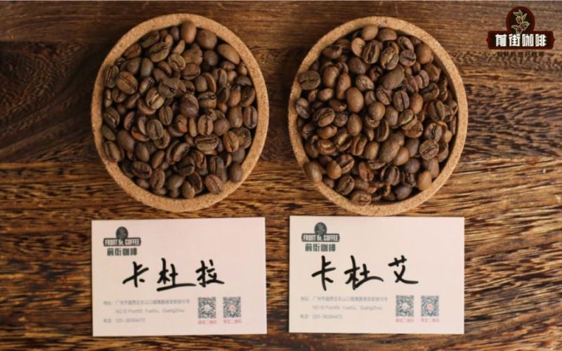 Analysis of Catuai and Caturra Varieties: Flavor, Cultivation, and Buying Guide for Popular Central American Coffee Beans