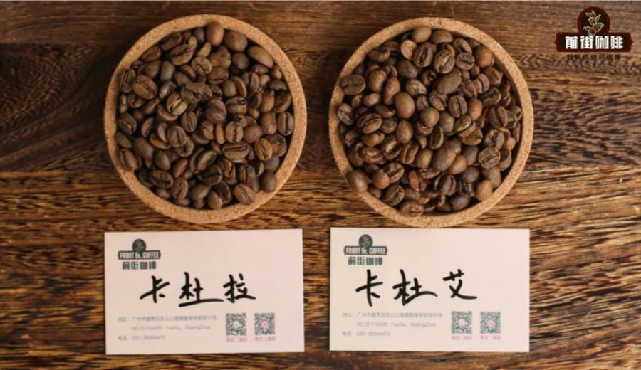 How to Choose Between Caturra and Catuai Coffee Beans? A Comprehensive Guide to Flavor, Growing Characteristics, and Beginner-Friendly Pour Over Recommendations