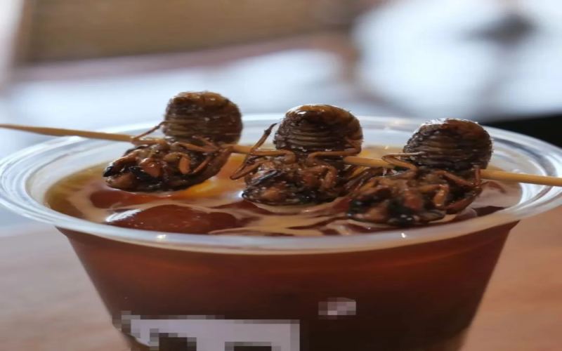 A Guangzhou coffee shop unveils a deep-fried cicada special drink — risks and challenges of insect-based summer beverages explored