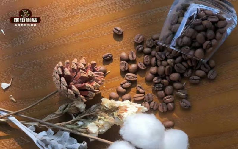 Comparison of the Flavor Profiles of Hua Kui 6.0 vs 5.0 | A Beginner’s Guide to the Characteristics and Pricing of the Khanbela Batch