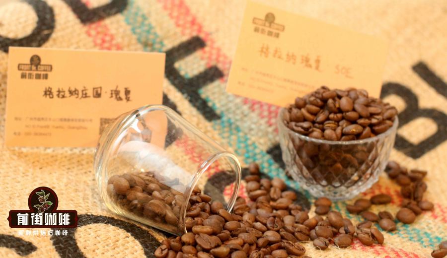 An in-depth look at the origins of Ethiopian Geisha & top 3 beginner-friendly picks – a pour over coffee selection guide